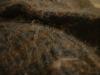 <img100*0:stuff/z/169023/UC4%2520003/i1259863604_11.jpg>