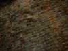 <img100*0:stuff/z/169023/UC4%2520003/i1259863604_12.jpg>