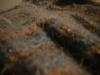 <img100*0:stuff/z/169023/UC4%2520003/i1259863604_14.jpg>