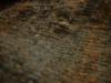 <img100*0:stuff/z/169023/UC4%2520003/i1259863604_16.jpg>