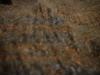 <img100*0:stuff/z/169023/UC4%2520003/i1259863604_17.jpg>