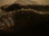 <img100*0:stuff/z/169023/UC4%2520003/i1259863604_4.jpg>