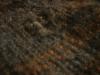 <img100*0:stuff/z/169023/UC4%2520003/i1259863605_22.jpg>