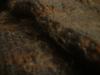 <img100*0:stuff/z/169023/UC4%2520003/i1259863605_23.jpg>