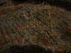 <img100*0:stuff/z/169023/UC4%2520003/i1259863605_24.jpg>