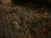 <img100*0:stuff/z/169023/UC4%2520003/i1259863605_28.jpg>