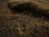 <img100*0:stuff/z/169023/UC4%2520003/i1259863605_29.jpg>