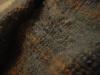 <img100*0:stuff/z/169023/UC4%2520003/i1259863605_33.jpg>