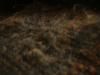 <img100*0:stuff/z/169023/UC4%2520003/i1259863605_34.jpg>
