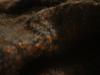 <img100*0:stuff/z/169023/UC4%2520003/i1259863605_39.jpg>