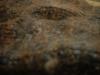 <img100*0:stuff/z/169023/UC4%2520003/i1259863606_41.jpg>