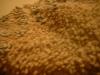 <img100*0:stuff/z/169023/UC4%252044/i1259863718_7.jpg>