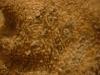 <img100*0:stuff/z/169023/UC4%252044/i1259863719_13.jpg>