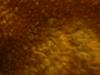 <img100*0:stuff/z/169023/UC4%252044/i1259863719_19.jpg>