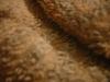 <img100*0:stuff/z/169023/UC4%252044/i1259863719_25.jpg>