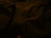 <img100*0:stuff/z/169023/UC4%252044/i1259863719_28.jpg>