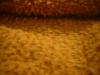 <img100*0:stuff/z/169023/UC4%252044/i1259863719_30.jpg>