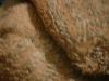 <img100*0:stuff/z/169023/UC4%252044/i1259863720_31.jpg>
