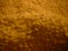 <img100*0:stuff/z/169023/UC4%252044/i1259863720_35.jpg>
