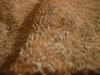 <img100*0:stuff/z/169023/UC4%252044/i1259863720_37.jpg>