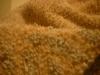 <img100*0:stuff/z/169023/UC4%252044/i1259863720_41.jpg>