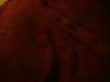 <img100*0:stuff/z/169023/UC5%252021/i1259864313_7.jpg>