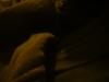 <img100*0:stuff/z/169023/UC5%252021/i1259864314_28.jpg>