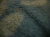 <img100*0:stuff/z/169023/UC5%252021/i1259864315_37.jpg>