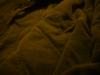 <img100*0:stuff/z/169023/UC5%252021/i1259864315_38.jpg>