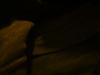 <img100*0:stuff/z/169023/UC5%252021/i1259864315_40.jpg>
