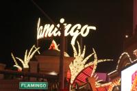 <img200*0:stuff/z/169023/Vegas%2520At%2520Night%2521/i1283277247_31.jpg>
