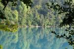 Water Reference.1