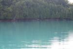<img150*0:stuff/z/169023/Water%2520Reference.5/i1278618280_26.jpg>