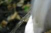 <img100*0:stuff/z/169023/Water%2520Stock/i1277155319_1.jpg>