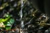 <img100*0:stuff/z/169023/Water%2520Stock/i1277155319_3.jpg>