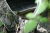 <img100*0:stuff/z/169023/Water%2520Stock/i1277155319_5.jpg>