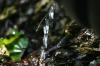 <img100*0:stuff/z/169023/Water%2520Stock/i1277155319_8.jpg>