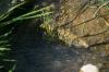 <img100*0:stuff/z/169023/Water%2520Stock/i1277155319_9.jpg>