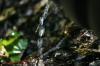 <img100*0:stuff/z/169023/Water%2520Stock/i1277155320_13.jpg>