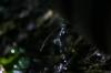 <img100*0:stuff/z/169023/Water%2520Stock/i1277155320_17.jpg>