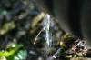 <img100*0:stuff/z/169023/Water%2520Stock/i1277155320_18.jpg>