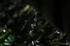 <img100*0:stuff/z/169023/Water%2520Stock/i1277155320_22.jpg>