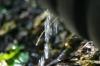 <img100*0:stuff/z/169023/Water%2520Stock/i1277155320_23.jpg>