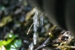 Water Stock