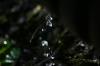 <img100*0:stuff/z/169023/Water%2520Stock/i1277155321_27.jpg>