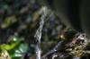 <img100*0:stuff/z/169023/Water%2520Stock/i1277155321_28.jpg>