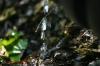 <img100*0:stuff/z/169023/Water%2520Stock/i1277155321_31.jpg>