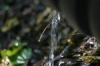 <img100*0:stuff/z/169023/Water%2520Stock/i1277155321_32.jpg>