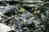 <img100*0:stuff/z/169023/Water%2520Stock/i1277155321_34.jpg>