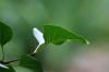 <img100*0:stuff/z/169023/Wet%2520Leaves/i1278954580_24.jpg>